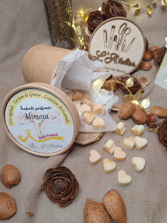 💪🏻 Pot Fondants de l'Espoir 🎗️ Endométriose 🎗️ Mimosa