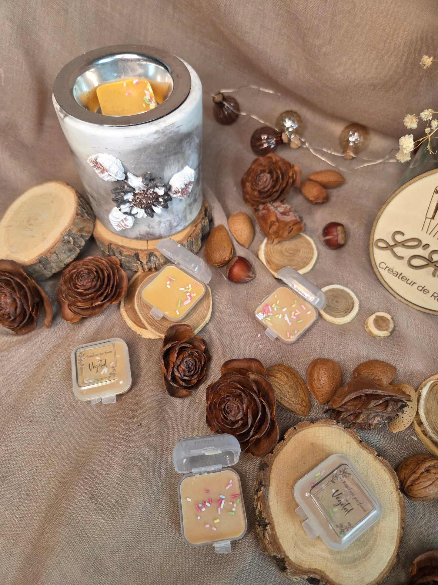 Clap’s 🥐 Madeleine 🥐