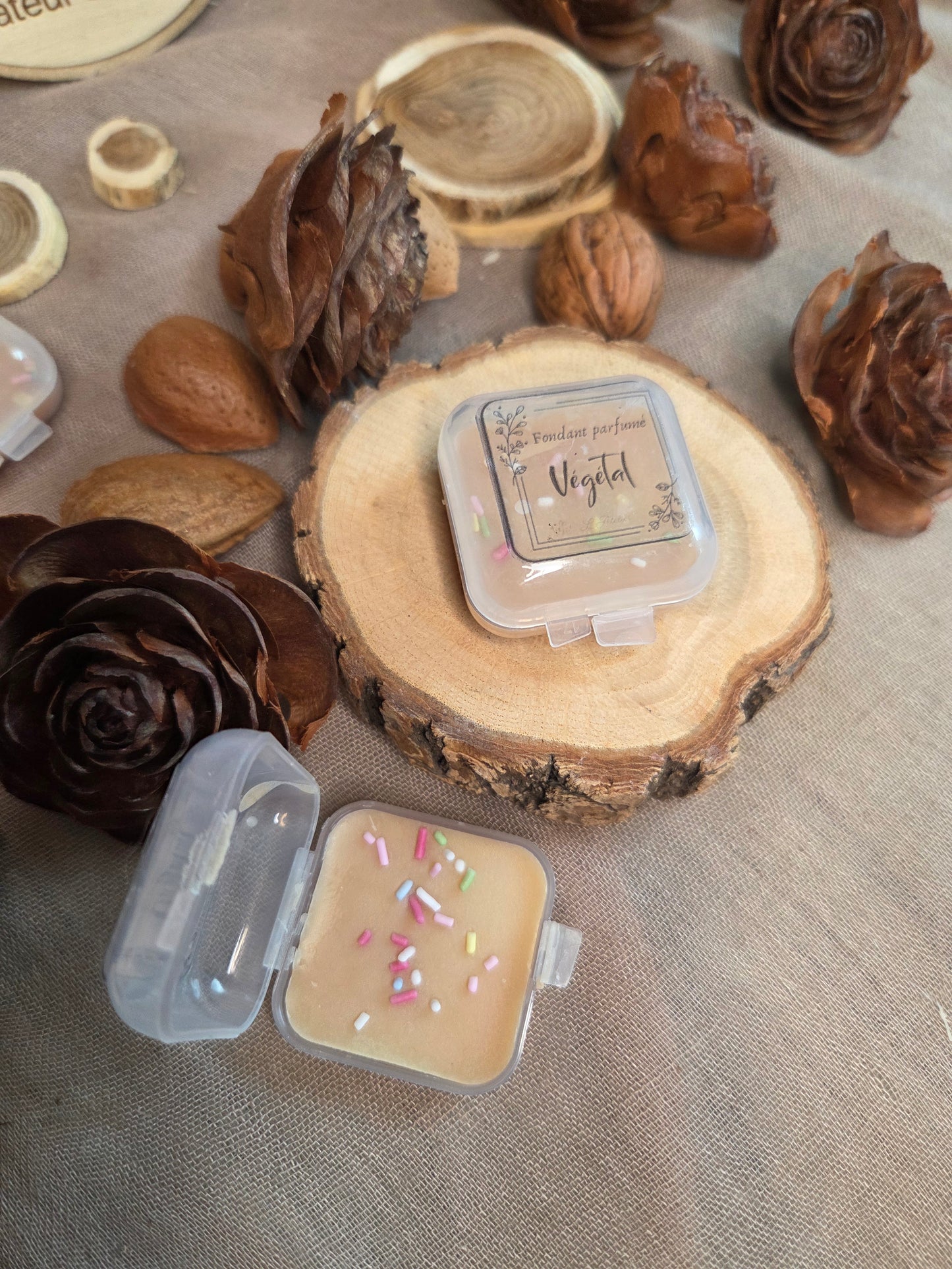 Clap’s 🥐 Madeleine 🥐